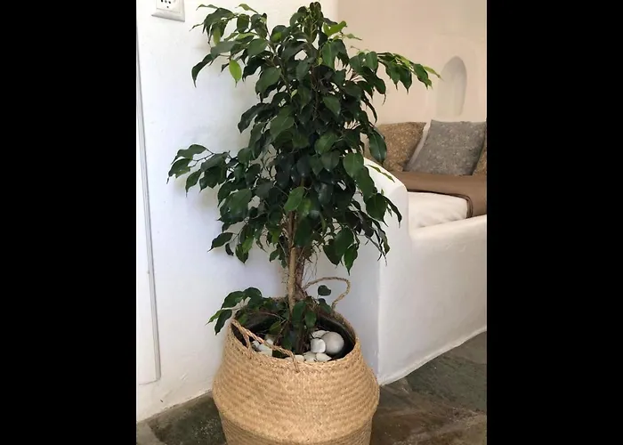 Amarielia's * Tínos