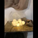 Amarielia's