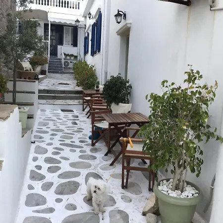 Amarielia's Studios